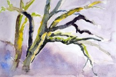 Bare Branches  6" X 8"