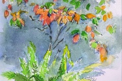 Dogwood Autumn  8" X 6"