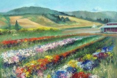 Farmer John's 48" X 60"