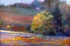 July's Last Light   11" X 14"