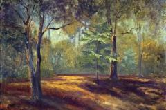 Oak Grove Morning 60" X 48"
