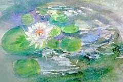 Opened  4" X 6"