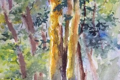 Sun Struck Trunks  8" X 6"