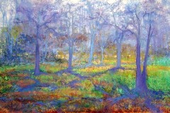 There Are Trees Then There Are Shadows  30" X 50"