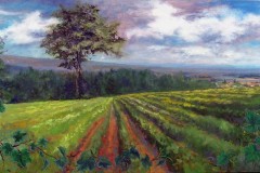 High Summer Durant  24" X 48"