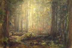 Cascade Forest Access  40" X 30"