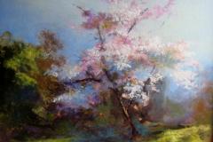 Flowering Cherry III 30" X 24"