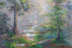 Forest Dawns