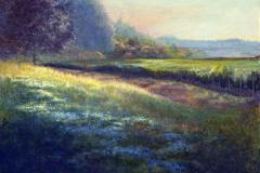Morning Meadow