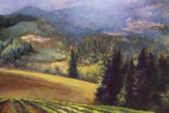 Upland Vineyard