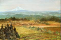 Valley Horizon