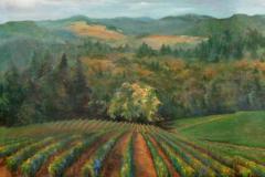 Vineyard Home
