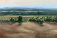 Vineyard Diptych left